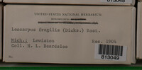 Image Associated With the Occurence
